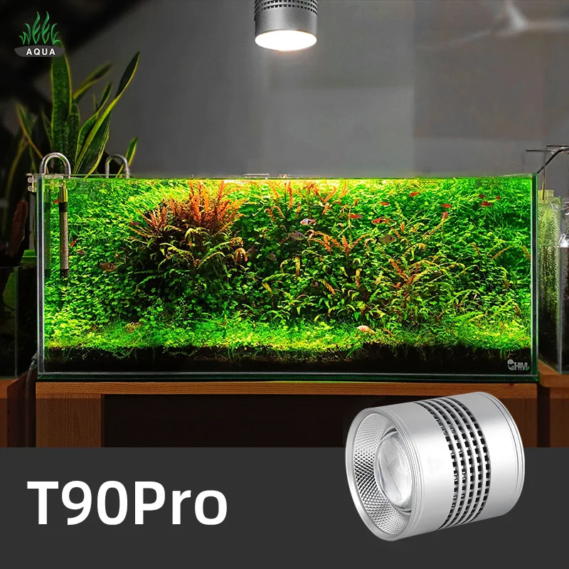 Aquarium Plant Not Growing - Hafta Aqua T Serisi T90 Pro