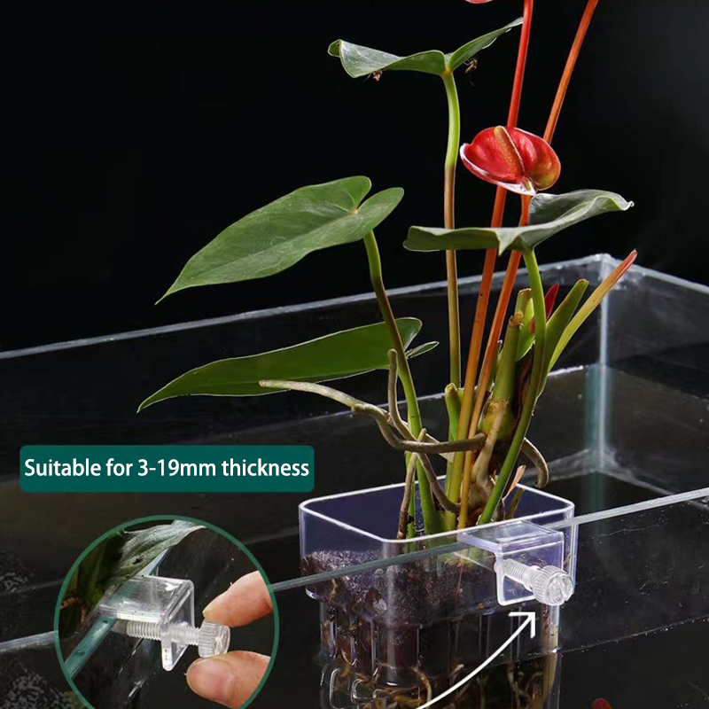 Aquarium Planted Tank - Çok fonksiyonlu balık akvaryumu su çim
