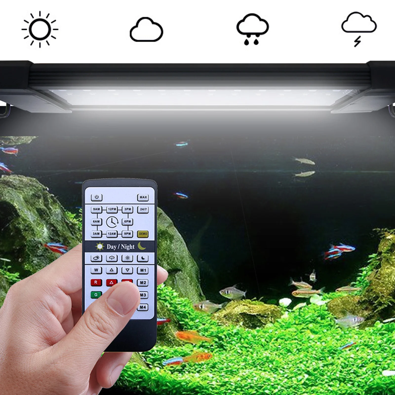Aquarium Plant Lab - Liweida 24 Saat Doğal Işık Uzaktan