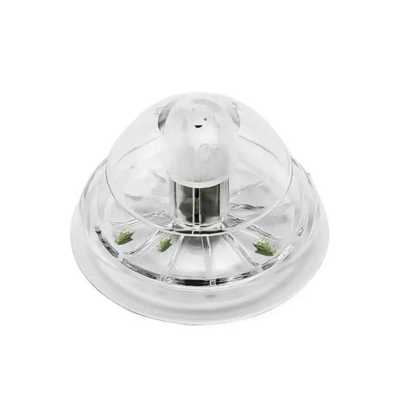 2026 Yeni 6/8CM Şeffaf Plastik - Planted Aquarium Tools incelemesi ve fiyatı
