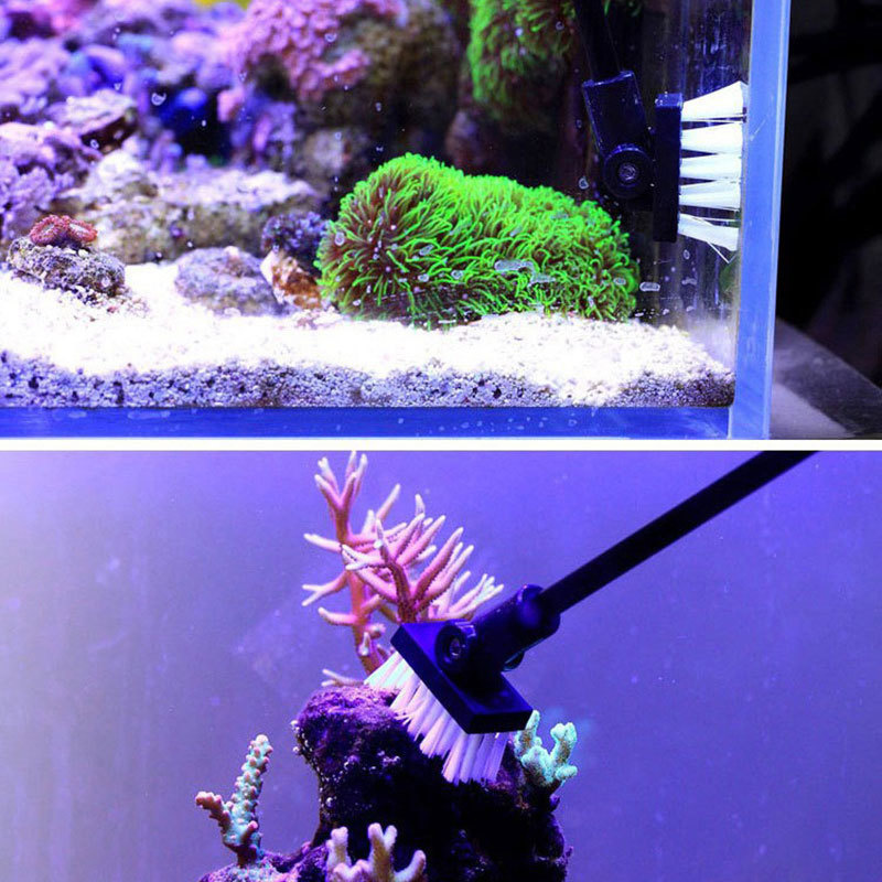 Balıkçılık Temizleme Fırçası B - Planted Aquarium Tools incelemesi ve fiyatı