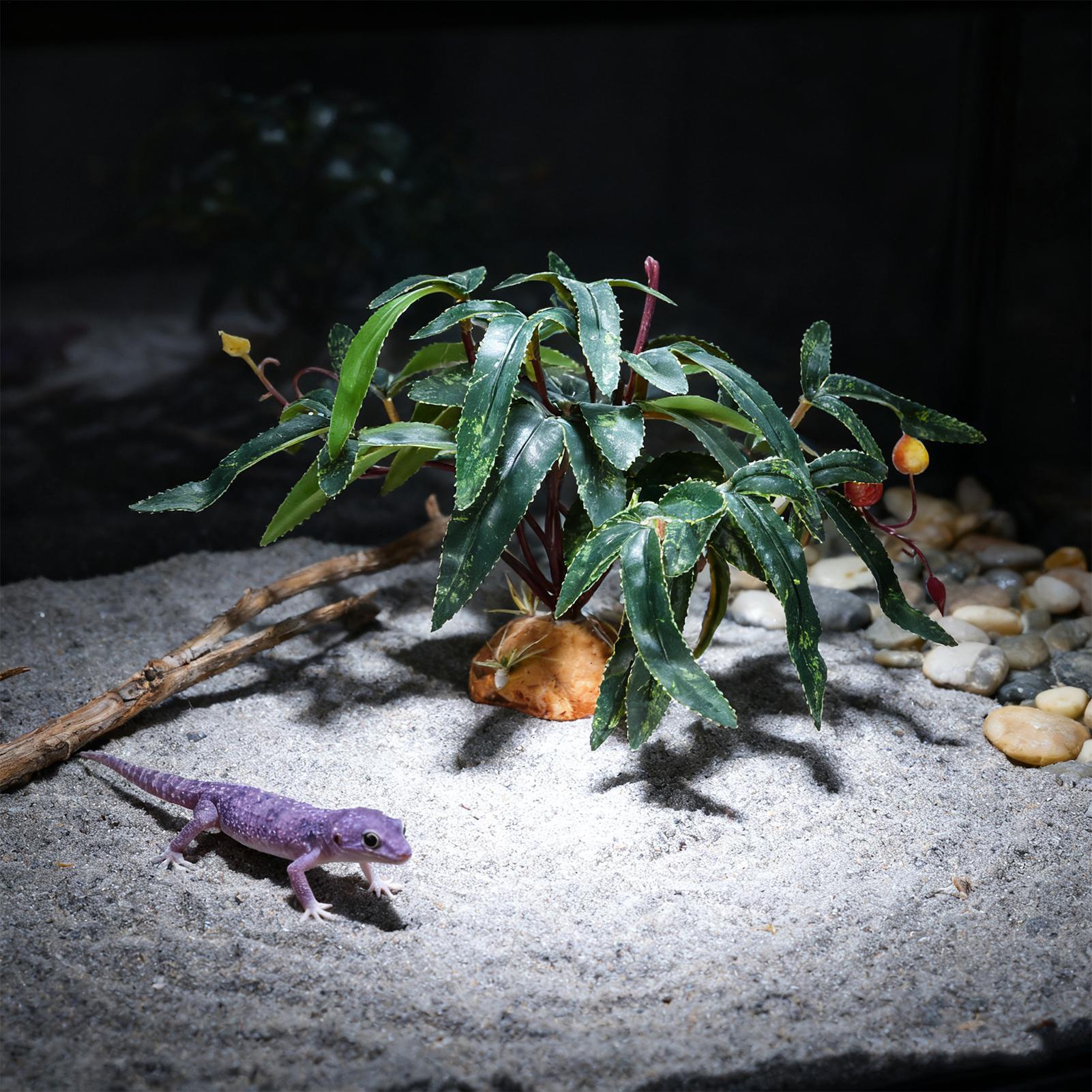 Sahte Sürüngen Bitkileri Yılan - Aquarium Planted Tank incelemesi ve fiyatı