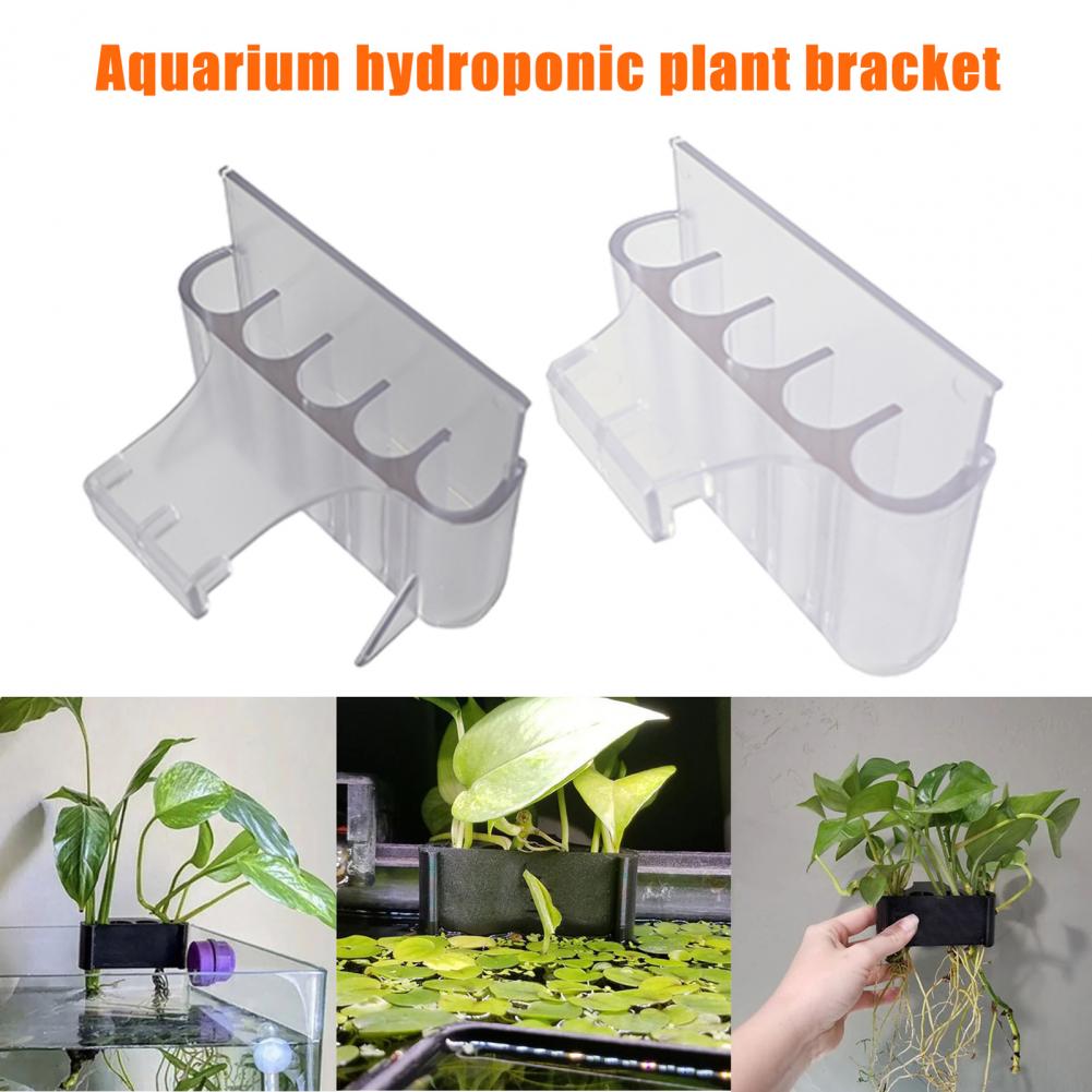 4.5/6.5cm akvaryum bitki tutuc - Aquarium Planted Tank incelemesi ve fiyatı