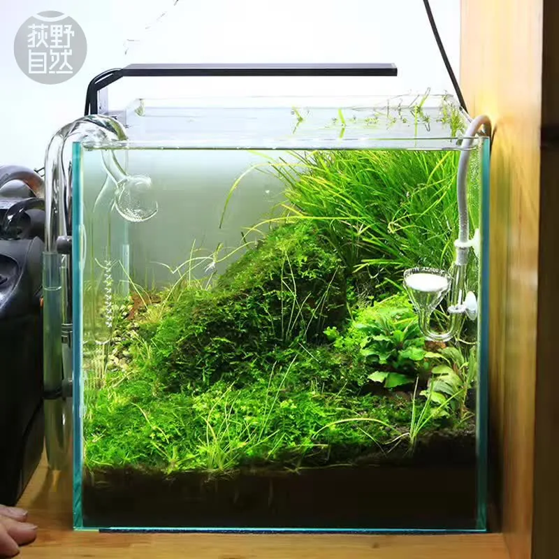 Spirürler C Serisi ADA Tarzı B - Planted Aquarium Pendant Light incelemesi ve fiyatı