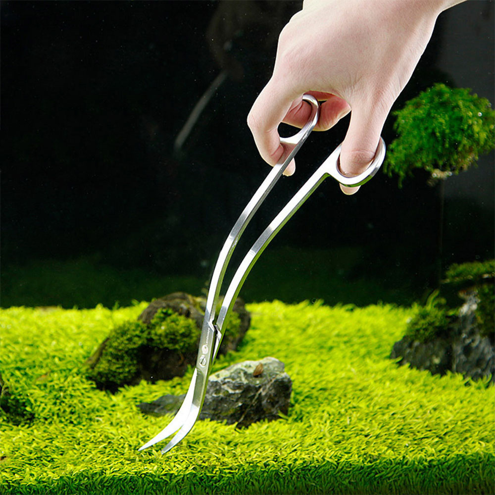 Akvaryum Aksesuarları Sert Pas - Planted Aquarium Tools incelemesi ve fiyatı