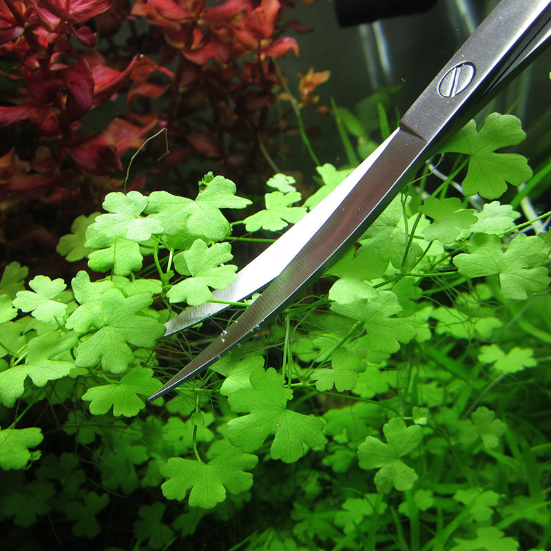 Akvaryum Aksesuarları Sert Pas - Planted Aquarium Tools incelemesi ve fiyatı