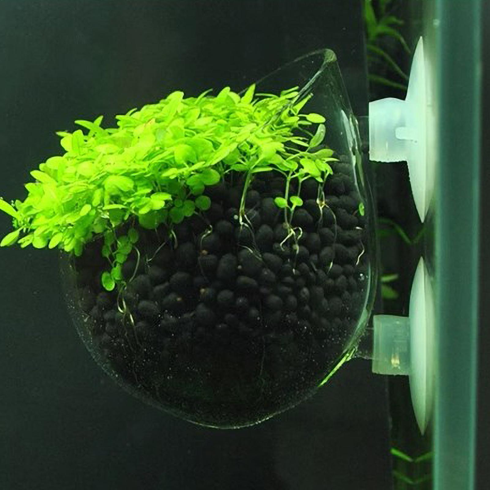 Vakumlu Bardaklı Akvaryum Cam  - Aquarium Plant Dip incelemesi ve fiyatı