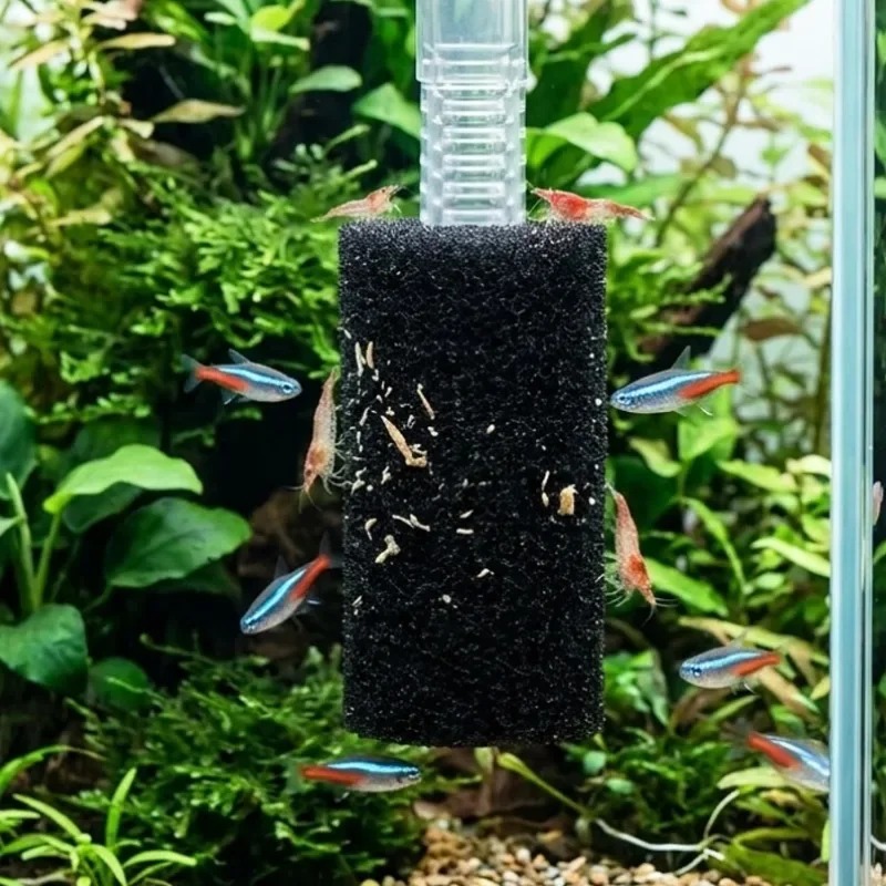 50/5x Ön Filtre Süngeri Akvary - Aquarium Planted Filter incelemesi ve fiyatı