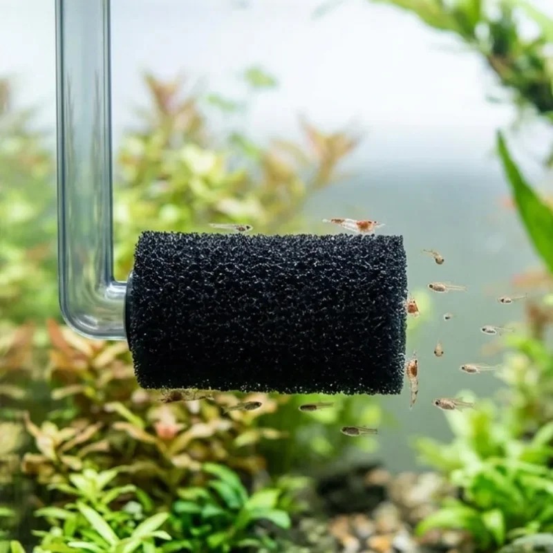 50/5x Ön Filtre Süngeri Akvary - Aquarium Planted Filter incelemesi ve fiyatı