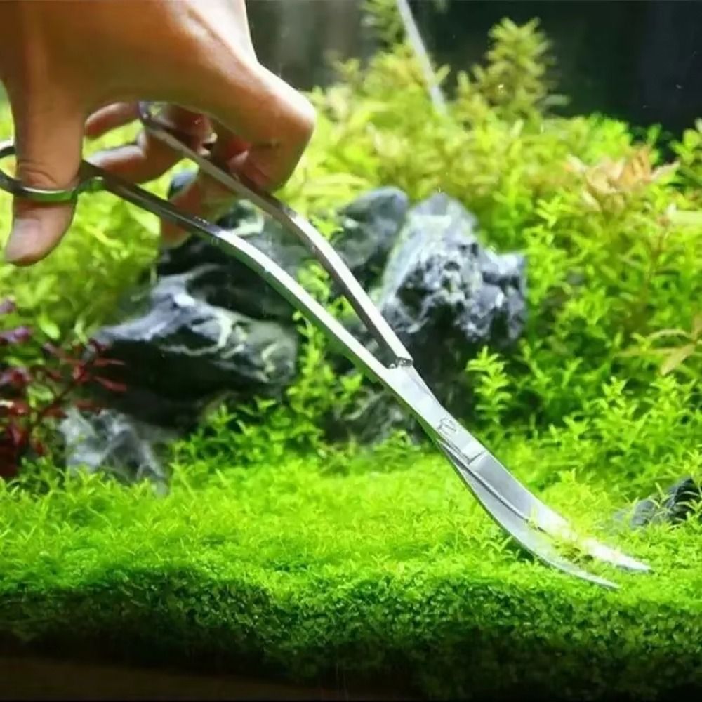 1 adet Paslanmaz Çelik Akvaryu - Planted Aquarium Tools incelemesi ve fiyatı