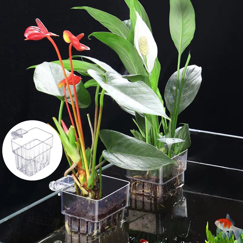 Çok fonksiyonlu balık akvaryum - Aquarium Planted Tank incelemesi ve fiyatı
