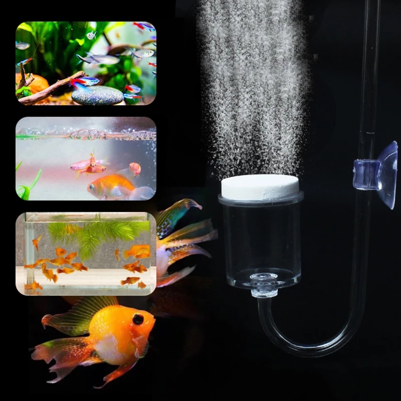 4 adet Set DIY CO2 difüzör içi - Planted Aquarium Co2 Kit incelemesi ve fiyatı