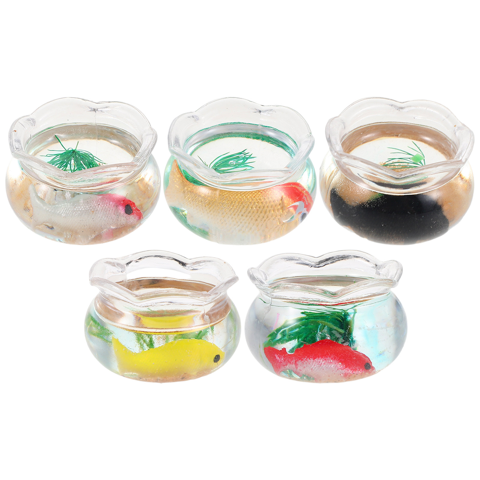 5 Adet Mini Balık Akvaryumu Kü - Aquarium Planted Tank incelemesi ve fiyatı